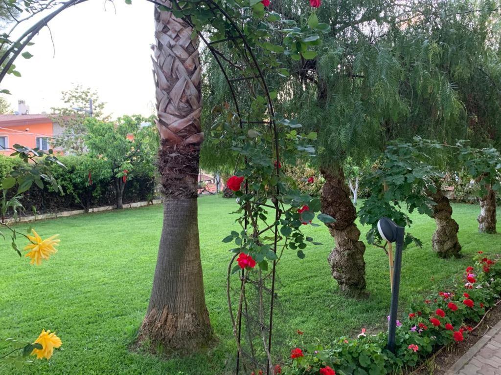 B&B The Garden Pescara Extérieur photo