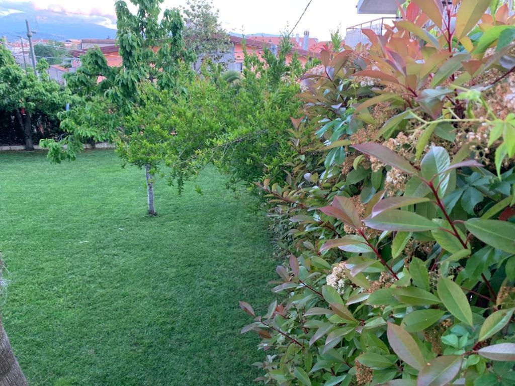 B&B The Garden Pescara Extérieur photo